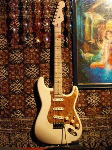 Elm California Burl